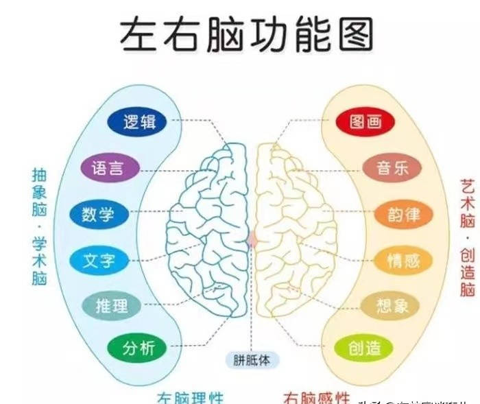 宝宝必备的9款益智类玩具实用又实惠让宝宝越玩越聪明！(图22)